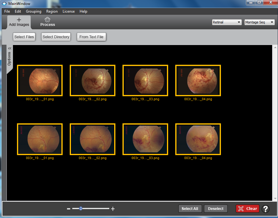 Group and Montage Sequences, Part 2 Preview